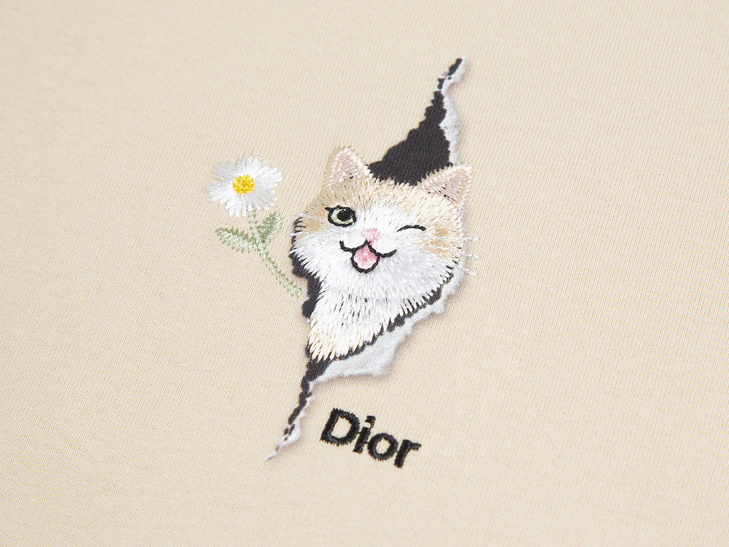 Dior Apparel 22