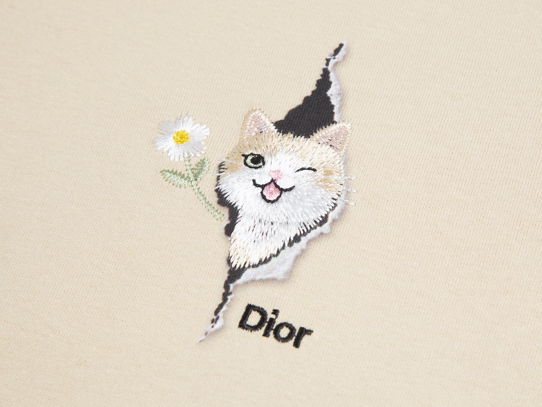 Dior Apparel 22