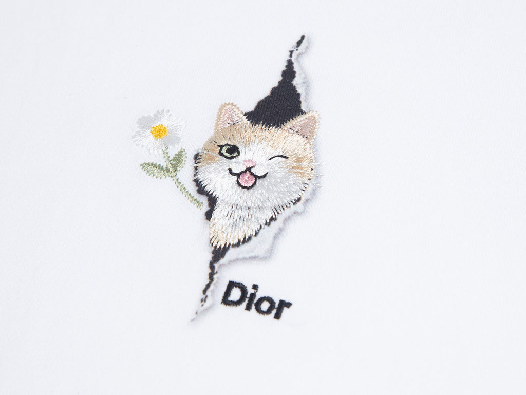 Dior Apparel 16