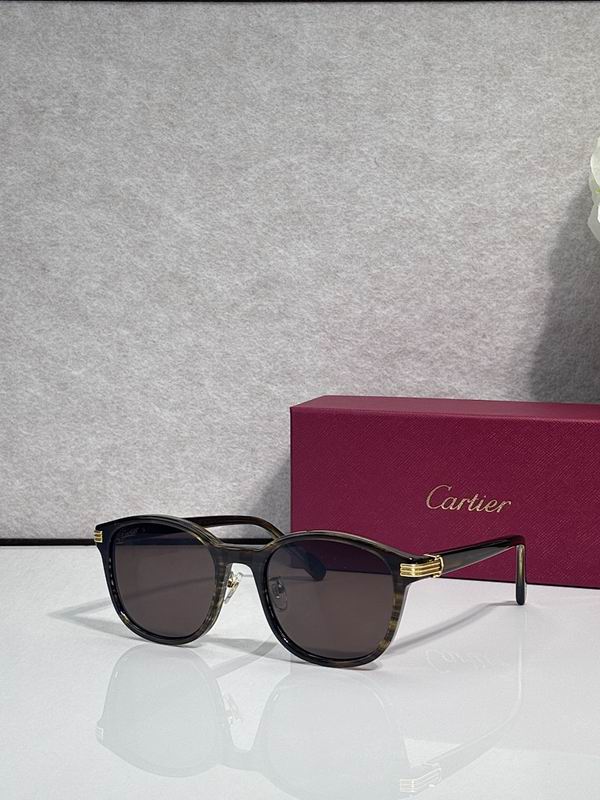 Lentes Cartier 4