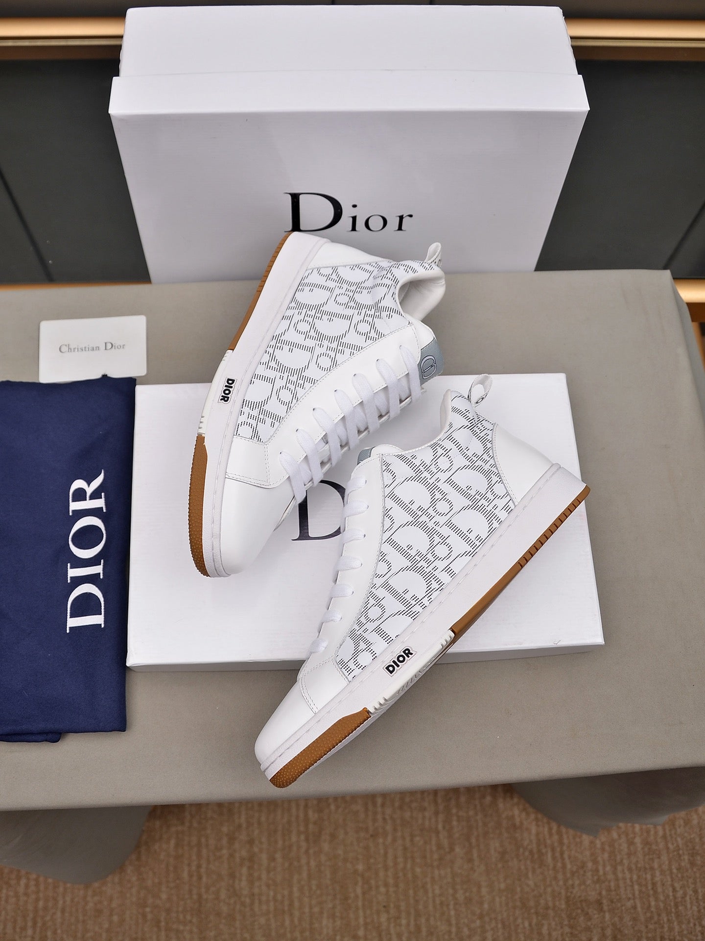 Dior Sneakers 15
