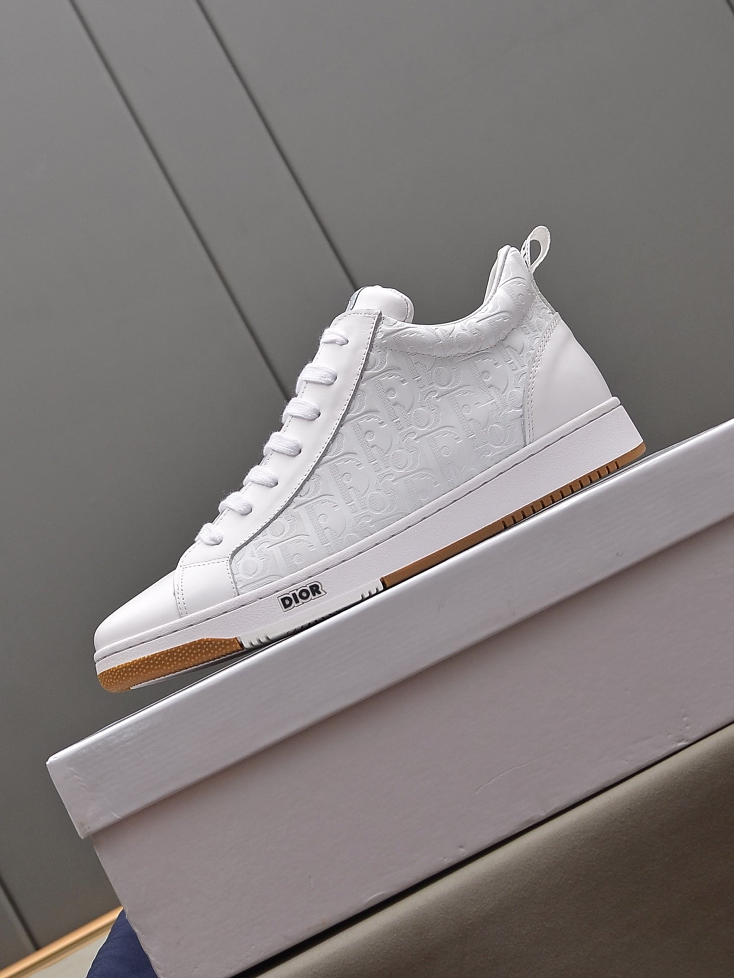 Dior Sneakers 14