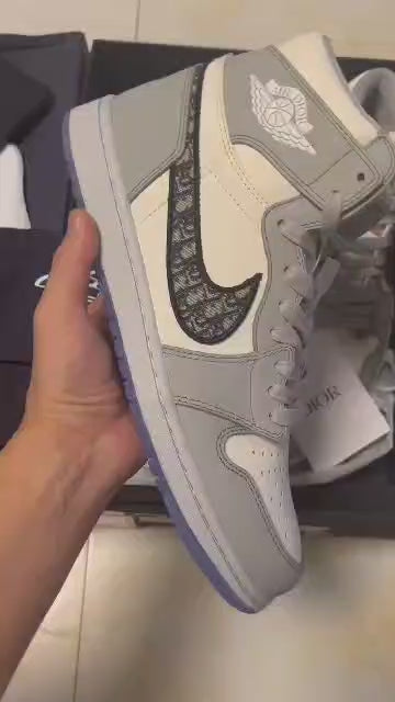 Air Jordan 1 High x Dior